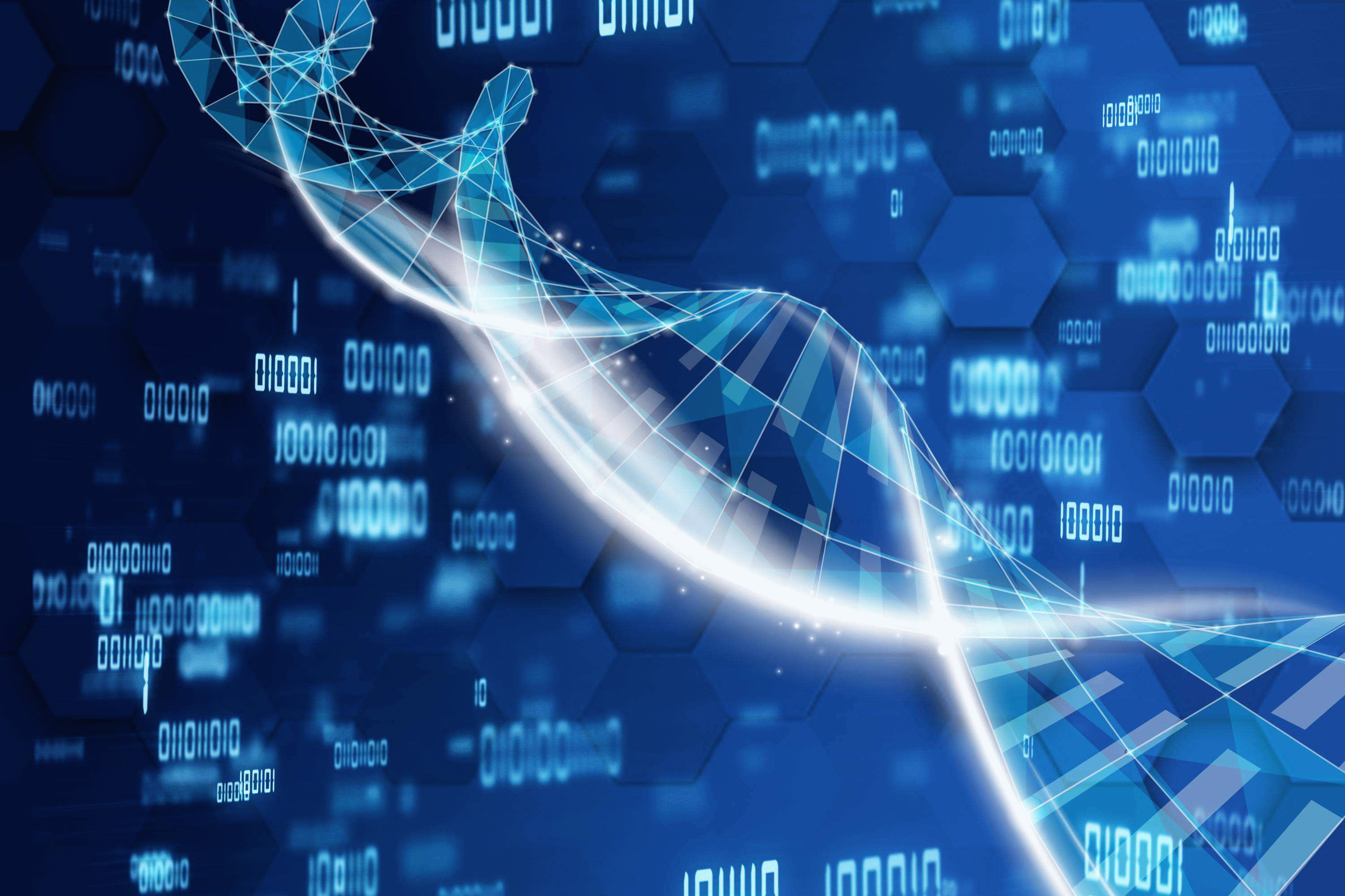 中共中央 国务院：加快数字化绿色化协同转型发展，推进产业数字化智能化同绿色化的深度融合